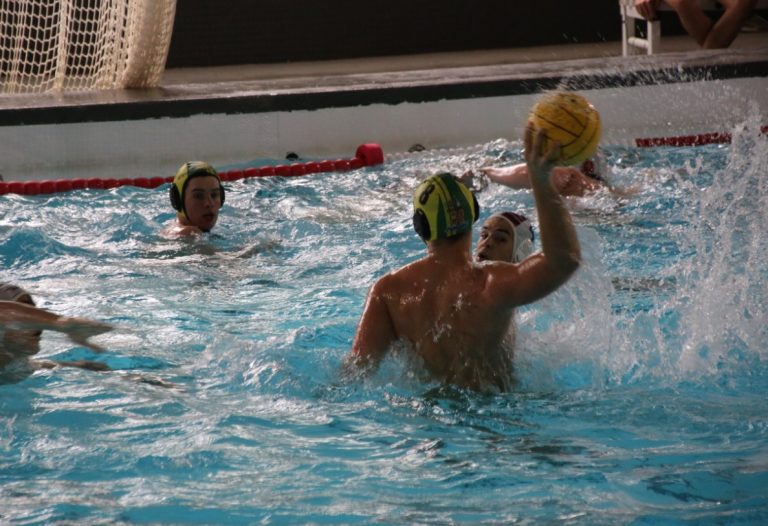 WhatsApp Image 2025-04-27 at 20.51.32