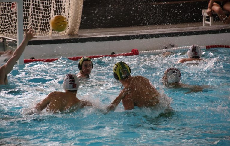 WhatsApp Image 2025-04-27 at 20.51.46