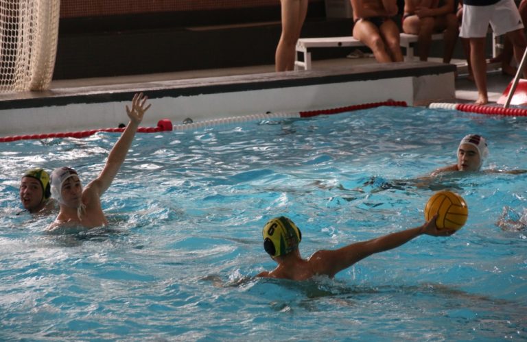 WhatsApp Image 2025-04-27 at 20.52.57