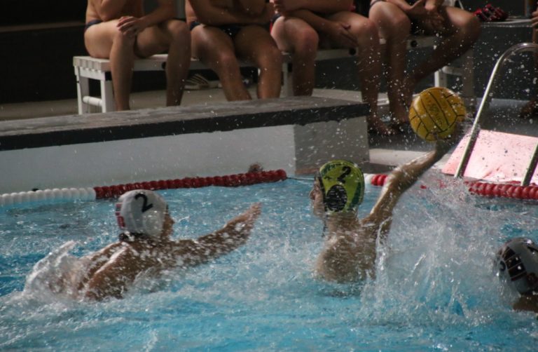 WhatsApp Image 2025-04-27 at 20.53.37