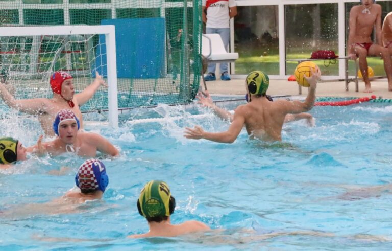 WhatsApp Image 2025-12-01 at 12.46.30