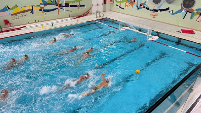 WhatsApp Image 2026 01 17 at 20.27.48